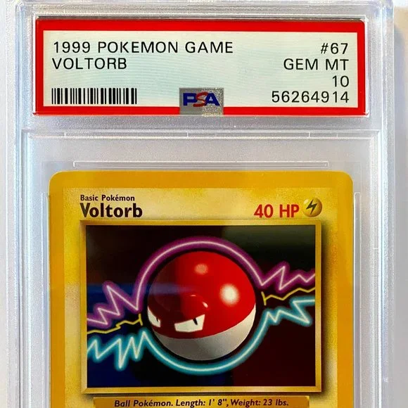 PSA 10 VOLTORB 67/102 GEM MINT │ Base Set Unlimited │1999 Pokémon 56264914 - Picture 2 of 5